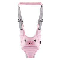 Pink Pig