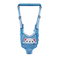 Sky Blue Bear