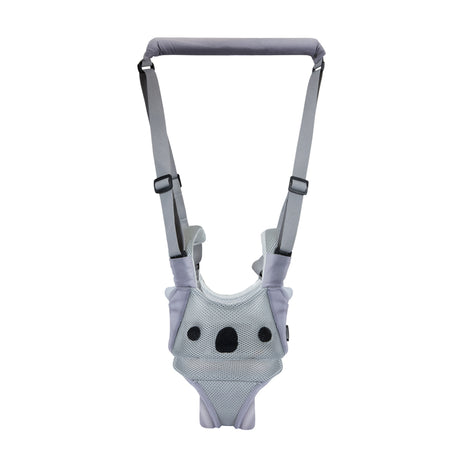 Grey Koala